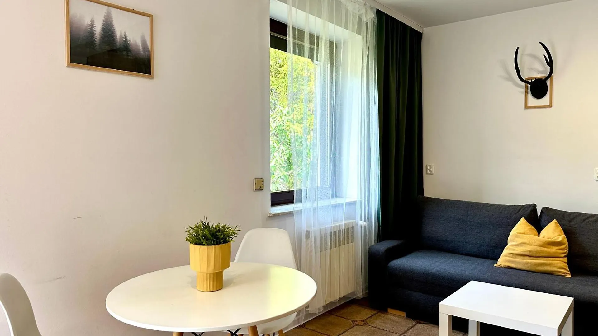 Studio Zubrowe II Gdansk